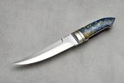 zgm 26 aculeus 5-2024 0503